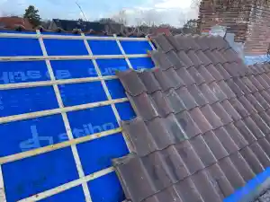 schilder_zandvoort_Dak_&_Kleur_3.jpg