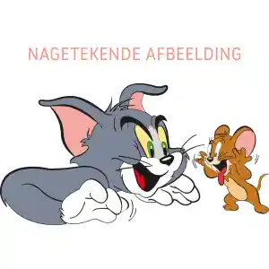 Illustratie .jpg