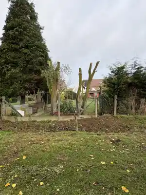 tuinaanleg-en-tuinonderhoud_ninove-pollare_JS-Tuinen_4.jpg