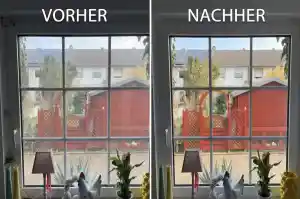 reinigungsfirma_bohmte_CleanX_Schwamm_4.jpg