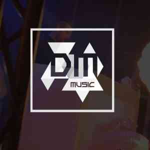 DM Music - DJ boeken voor bruiloft, bedrijfsfeest of ander feest?.jpg