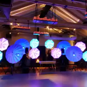 We Live Music - bruiloften & bedrijfsfeesten.jpg