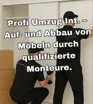 umzugsunternehmen_landshut_Profi_Umzug_Int._4.jpg
