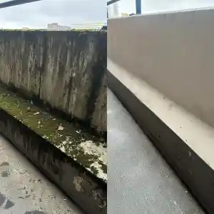 Mos verwijderen .jpg