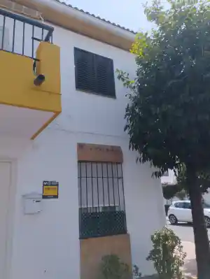 pintor_sevilla_Pinturas_y_Reformas_Sanabria__7.jpg