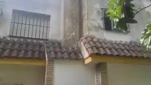 pintor_sevilla_Pintasevilla__4.jpg