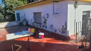 pintor_sevilla_Pintasevilla__6.jpg