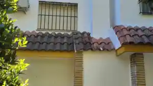 pintor_sevilla_Pintasevilla__5.jpg
