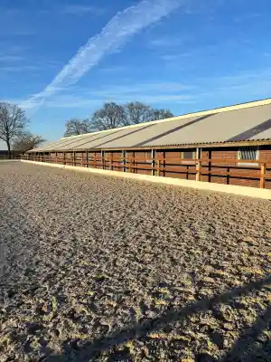 coaching_oploo_Raijmakers_Paard_&_Coaching_3.jpg