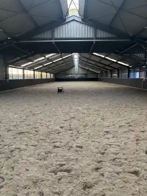 coaching_oploo_Raijmakers_Paard_&_Coaching_2.jpg