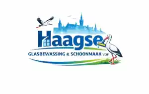 schoonmaakbedrijf_den-haag_Haagse_Glasbewassing_&_Schoonmaak_VOF_2.jpg