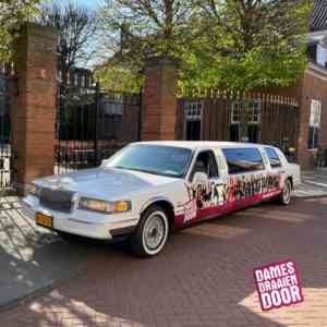dj_vught_Damesdraaiendoor_4.jpg