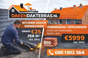dakdekker_alkmaar_dakendakterras.nl_2.jpg