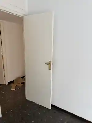 Proyecto de pintura puertas .jpg