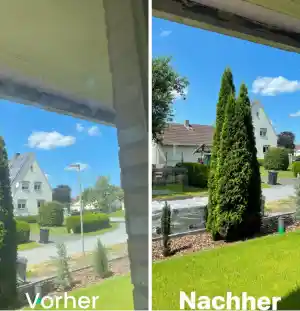 reinigungsfirma_m%C3%BCnchen_VP_Gebäudereinigung_&_Dienstleistungen_4.jpg