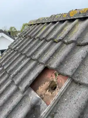 WC ontluchting via dakdoorvoer gerealiseerd in Schijndel 🚽.jpg