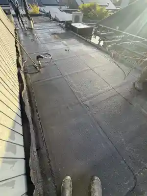 Platdakje overlaagd 55m2.jpg