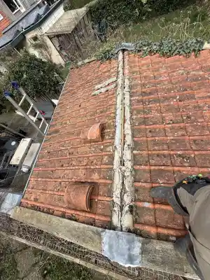 Hellendedak 64m2 gerenoveerd .jpg