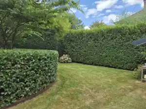 tuinaanleg-en-tuinonderhoud_waregem-sint-eloois-vijve_Tuinen_Robbe_De_Boever_3.jpg