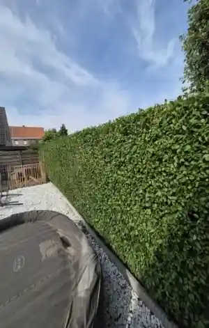 tuinaanleg-en-tuinonderhoud_waregem-sint-eloois-vijve_Tuinen_Robbe_De_Boever_5.jpg