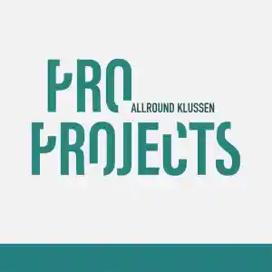 Huisstijl Pro-Projects.jpg