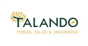 reformas_galapagar_Poda_y_Tala_TALANDO__5.jpg