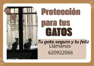 fontanero_rojales_Global_&_Reform_2.jpg