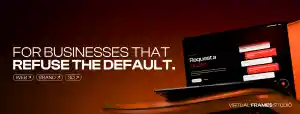 webdesign_lovendegem_Virtual_Frames_Studio_2.jpg
