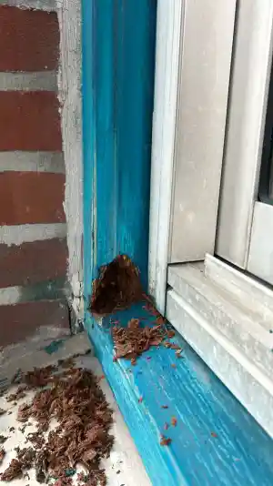 Schilderwerkzaamheden buiten 48 woningen  .jpg