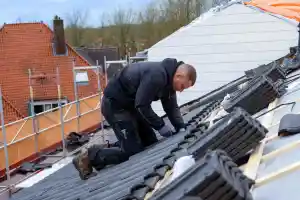 Roofie dak en timmerwerken bv.jpg