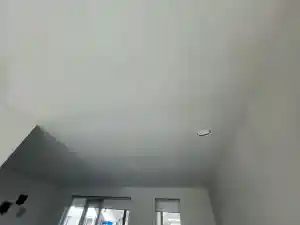 Plafond stukwerk.jpg