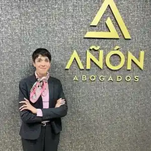 abogado_o-pereiro-de-aguiar_Añon_Abogados,_S.L_3.jpg