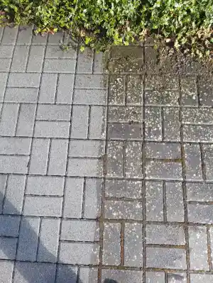 Pflasterreinigung.jpg