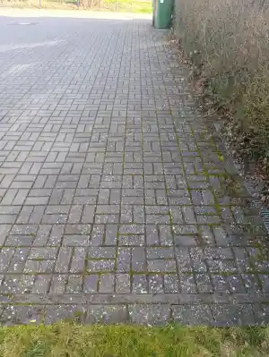 Pflasterreinigung.jpg