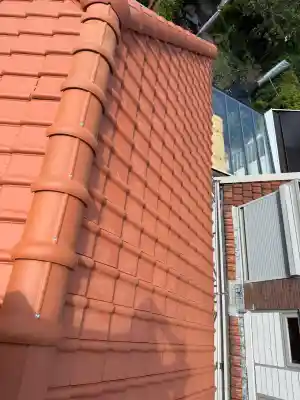 Panedak renovatie .jpg