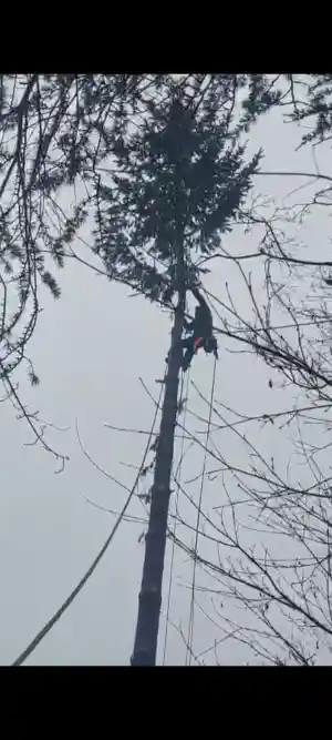 Sectioneren spar.jpg