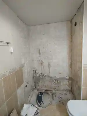 reforma de ducha.jpg