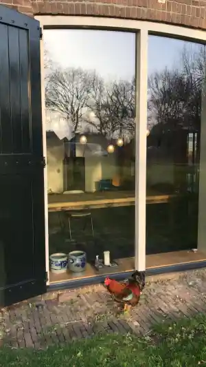 Verbouwing woonboerderij licht en interieur.jpg