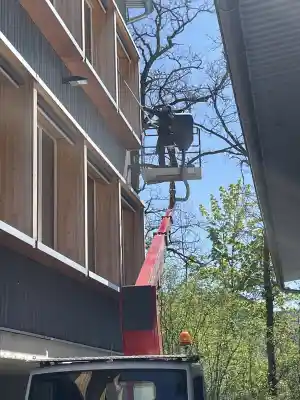 Fensterreinigung.jpg