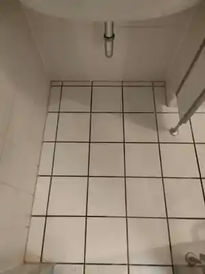 Bauendreinigung.jpg