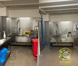 schoonmaakbedrijf_naaldwijk__M.S._Eco_Cleaning_Service_7.jpg