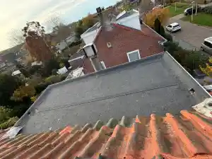 Dakkapel renovatie.jpg