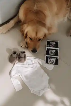 Babybauch Shooting.jpg
