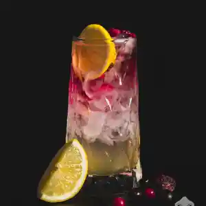 catering_gie%C3%9Fen_Mobile_Cocktailbar_-_Miraculix_Bar_6.jpg