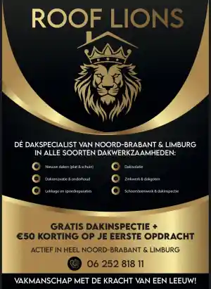 Roof Lions dak & Vastgoed onderhoud.jpg