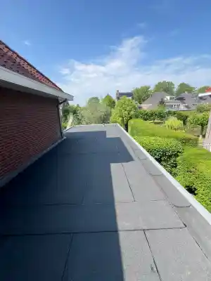 dakgoot_berlicum_Roof_Lions_dak_&_Vastgoed_onderhoud_2.jpg
