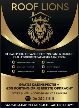 Roof Lions dak & Vastgoed onderhoud.jpg
