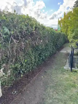 gartner_zwingenberg_360°_Green_and_Clean_4.jpg