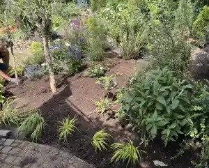 gartner_zwingenberg_360°_Green_and_Clean_6.jpg