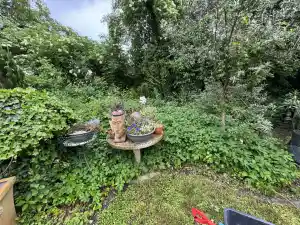 gartner_zwingenberg_360°_Green_and_Clean_7.jpg